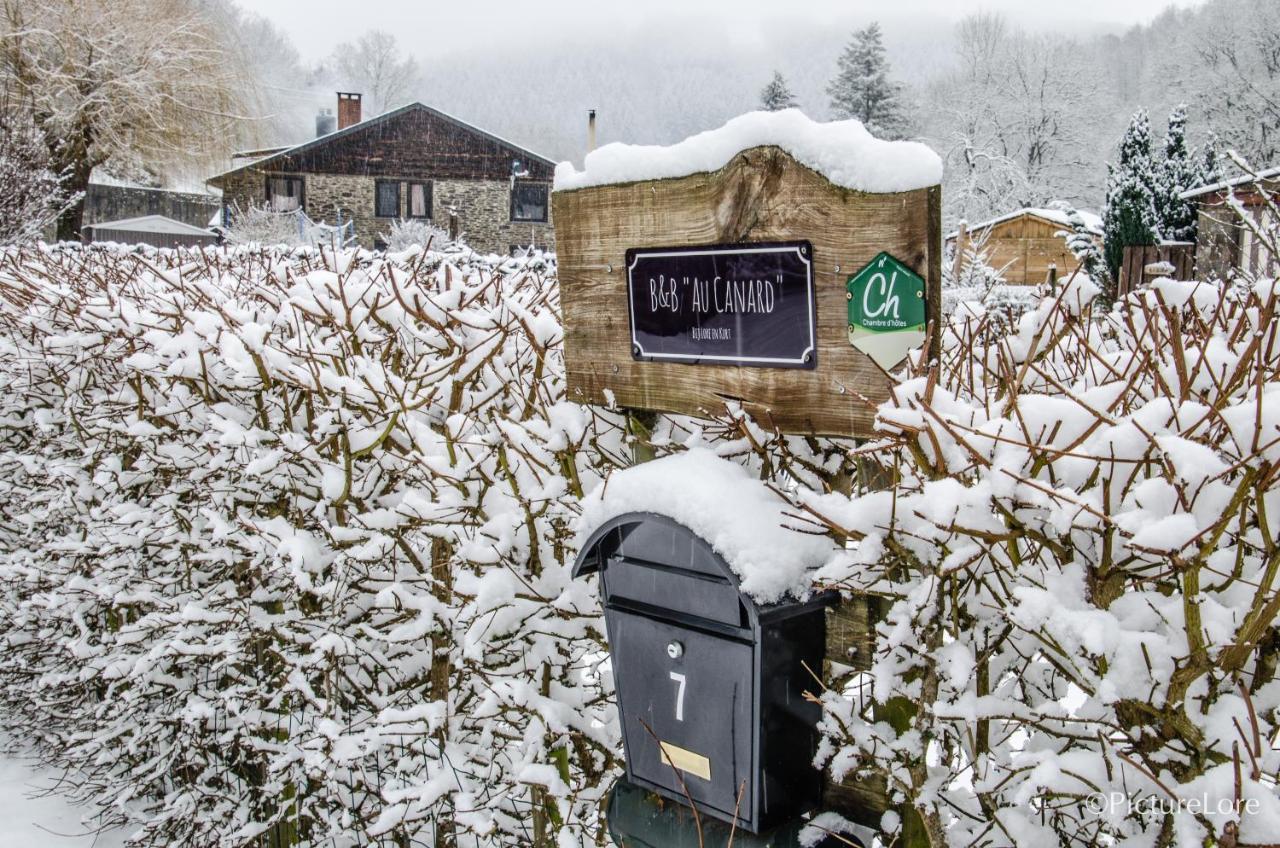 B&B Au Canard La-Roche-en-Ardenne Kültér fotó