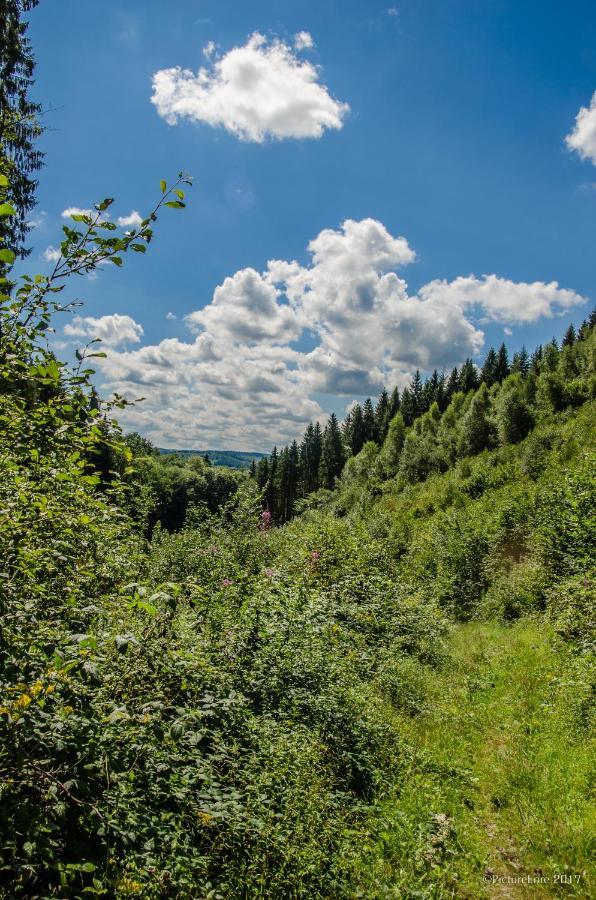 B&B Au Canard La-Roche-en-Ardenne Kültér fotó